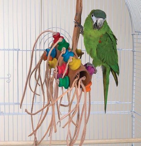 Bird Toy – Wild Series – Bonkers Challenge Toy – Great Toy for Medium to Large Birds