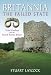 Britannia - The Failed State: Tribal Conflicts and the End of Roman Britain: Tribal Conflict and the End of Roman Britain