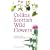 Collins Scottish Wild Flowers