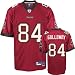 Joey Galloway Red Tampa Bay Buccaneers NFL Premier Jersey