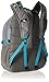 High Sierra Swerve Laptop Backpack, Charcoal/Electric Geo/Tropic Teal, 19 x 13 x 7.75-Inch