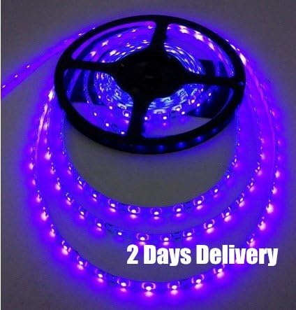 5M Waterproof 300 LED 3528 SMD Flexible LED Light Lamp Strip 12V (Purple, 1 Pcs 3528)
