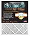 Accumulair FI16X22.25A Titanium 1 In. Filter, Pack Of 4