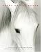 Heart of the Horse by Alan Lightman