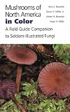 Mushrooms Of North America In Color : A Field Guide Companion To Seldom-illustrated Fungi