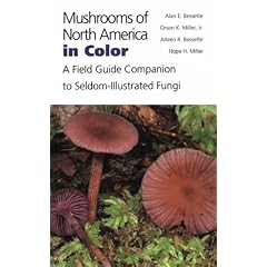 Mushrooms of North America in Color: A Field Guide Companion to Seldom-Illustrated Fungi