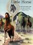 Little Horse