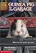 Guinea Pig in the Garage (Animal Ark Series #19)