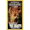 National Geographic's Beauty and the Beasts: A Leopard's Story [VHS]