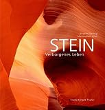Produkt-Bild: Stein. Verborgenes Leben