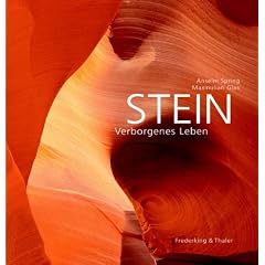 Stein. Verborgenes Leben