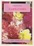 Growing Carnations