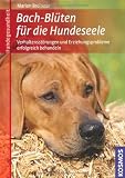 Bach-Blüten für die Hundeseele: Verhaltensstörungen und Erziehungsprobleme mit Bach-Blüten behandeln. Mit Analysebogen