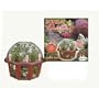 Bonsai Village - Grow Your Own Authentic Bonsai Garden!