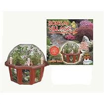 Bonsai Village - Grow Your Own Authentic Bonsai Garden!