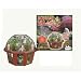 Bonsai Village - Grow Your Own Authentic Bonsai Garden!
