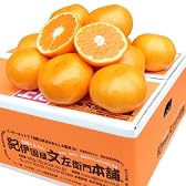 みかん！みかん！ 和歌山みかん！ お試しみかん  和歌山 有田直送ふぞろい・訳あり 有田みかん 5kg（早生～完熟品種）