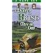 Leprechaun / St. Patrick's day family viewing