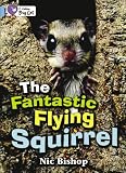 Fantastic Flying Squirrel, the