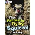 The Fantastic Flying Squirrel (Collins Big Cat) by Nic Bishop