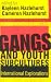 Gangs and Youth Subcultures: International Explorations