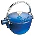 Kitchen & Housewares : Staub La Theiere Round 1-Quart Teapot, Blue