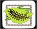 Mouse Pad with bug, insect, shaggy, leaf, hairy, caterpillar