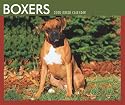 Boxers 2008 Boxed Calendar (German, French, Spanish and English Edition)