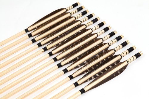 Longbowmaker Handmade Eagle Feathers Cedar Wood Target Archery Arrows BWEFT2 (12 Pack)