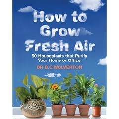How To Grow Fresh Air: 50 Houseplants That Purify Your Home Or Office