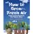 How To Grow Fresh Air: 50 Houseplants That Purify Your Home Or Office
