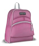 JanSport Mesh Pack Backpack