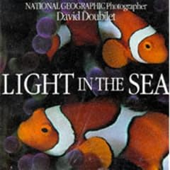 Light in the Sea (Evergreen Series)