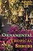 Ornamental Tropical Shrubs