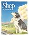 Search : Shep: Our Most Loyal Dog (True Stories)