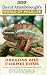 David Attenborough's World Of Wildlife 11 - Dragons And Chameleons [UK IMPORT]