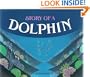 Story of a Dolphin (Picture Books)