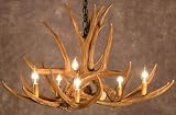 Antler Chandelier - 32 x 20 Mule Deer 6 Light