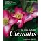 Clematis - K�nigin der Kletterpflanzen - eine wertende Liste