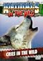 Animals in the Wild: Cries in the Wild