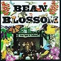 Bean Blossom