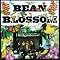 Bean Blossom