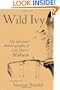 Wild Ivy: The Spiritual Autobiography of Zen Master Hakuin