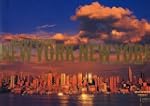 NEW YORK NEW YORK