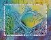 Art Poster Print - Twin Triggerfish - Artist: Sue Duda - Poster Size: 28 X 22 inches
