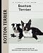 Boston Terrier (Kennel Club Dog Breed Series)