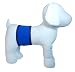 PlayaPup Dog Belly Bands for Male Dogs with Incontinence Problems/Training - Solids
