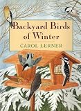 Backyard Birds of Winter