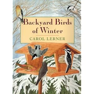 Backyard Birds Summer Perfect Introduction
