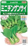 サカタのタネ 実咲野菜3303 シャオパオ ミニチンゲンサイ 10袋セット